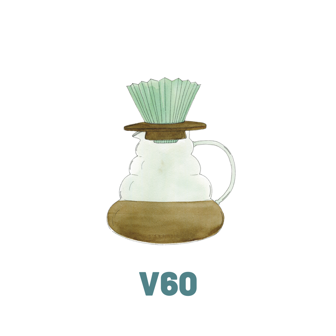V60 Filter Brewing Guide