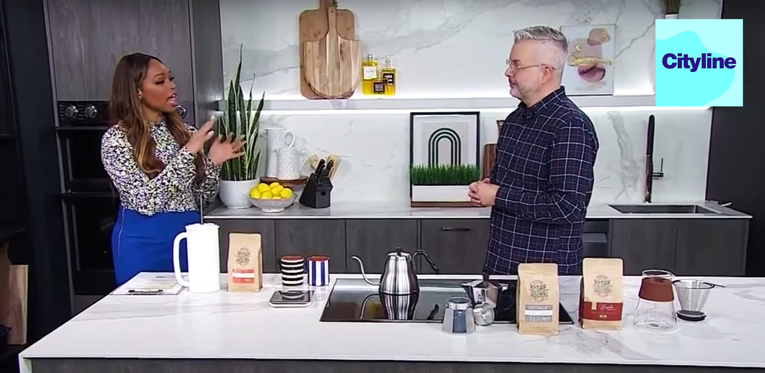 How to brew the perfect cup of coffee with Barocco Coffee on Cityline Toronto
