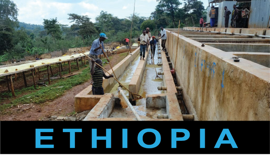 Bespoke - Ethiopia Idido - 250g