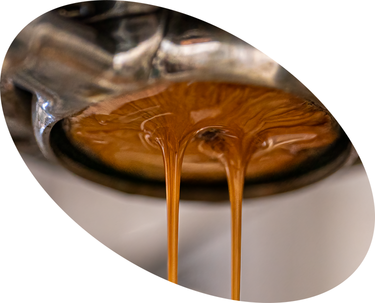 Barocco Coffee Company: Toronto Coffee Roaster