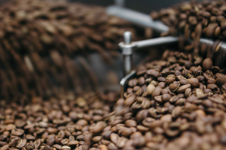 Barocco Coffee Company: Toronto Coffee Roaster